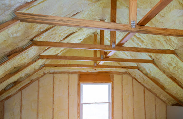 Best Sustainability and Green Building in Hainesvle, IL