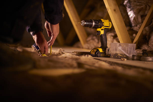 Best Insulation Maintenance and Repair in Hainesvle, IL